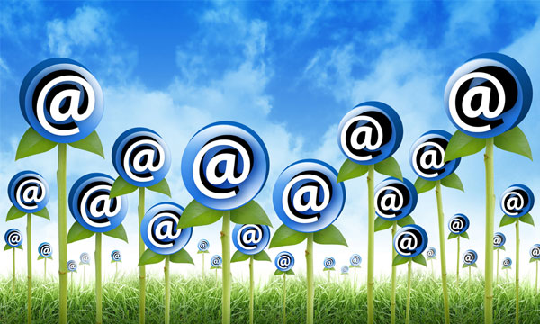 email-marketing-raleigh